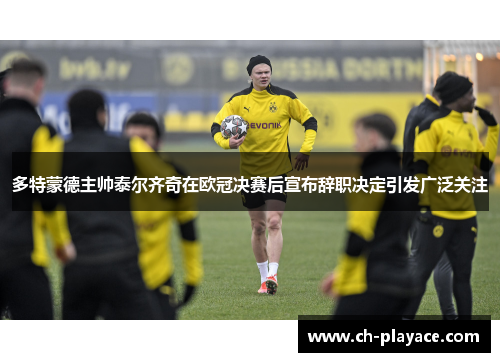 多特蒙德主帅泰尔齐奇在欧冠决赛后宣布辞职决定引发广泛关注