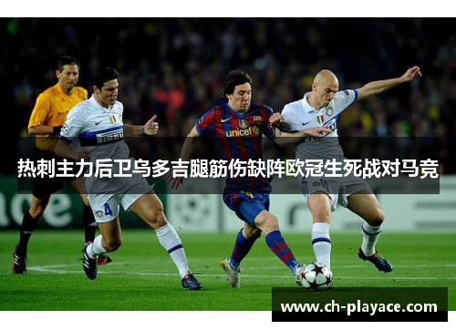 热刺主力后卫乌多吉腿筋伤缺阵欧冠生死战对马竞