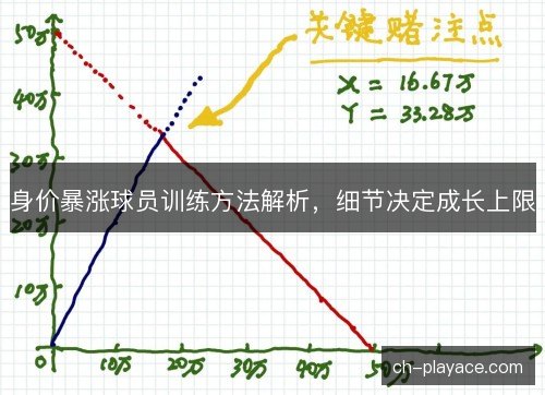 身价暴涨球员训练方法解析，细节决定成长上限